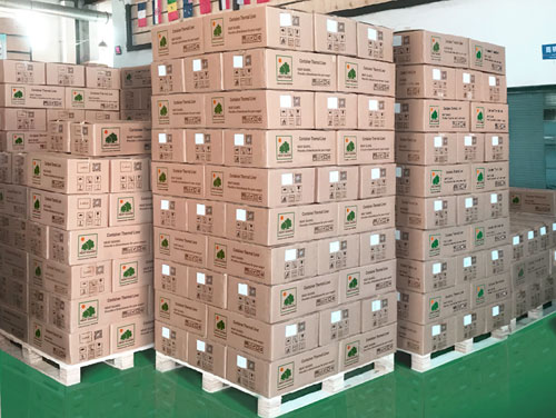 CTL stock